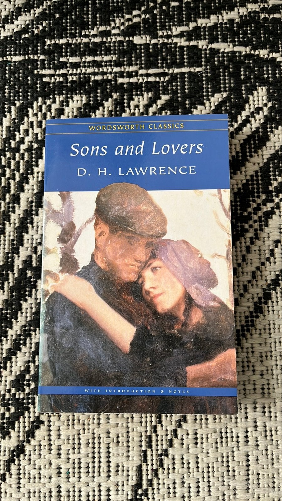 Boek Sons and daughters te koop, Boeken, Ophalen of Verzenden, Zo goed als nieuw