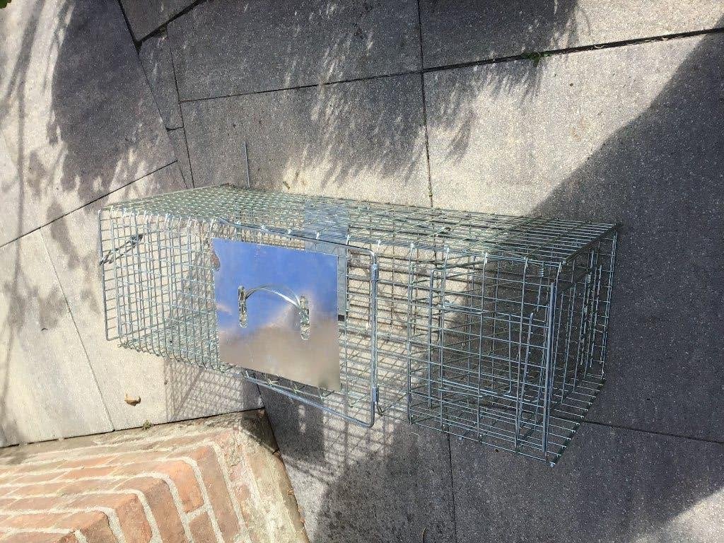 Kattenvangen, Dieren en Toebehoren, Ophalen of Verzenden, Zo goed als nieuw, Overige
