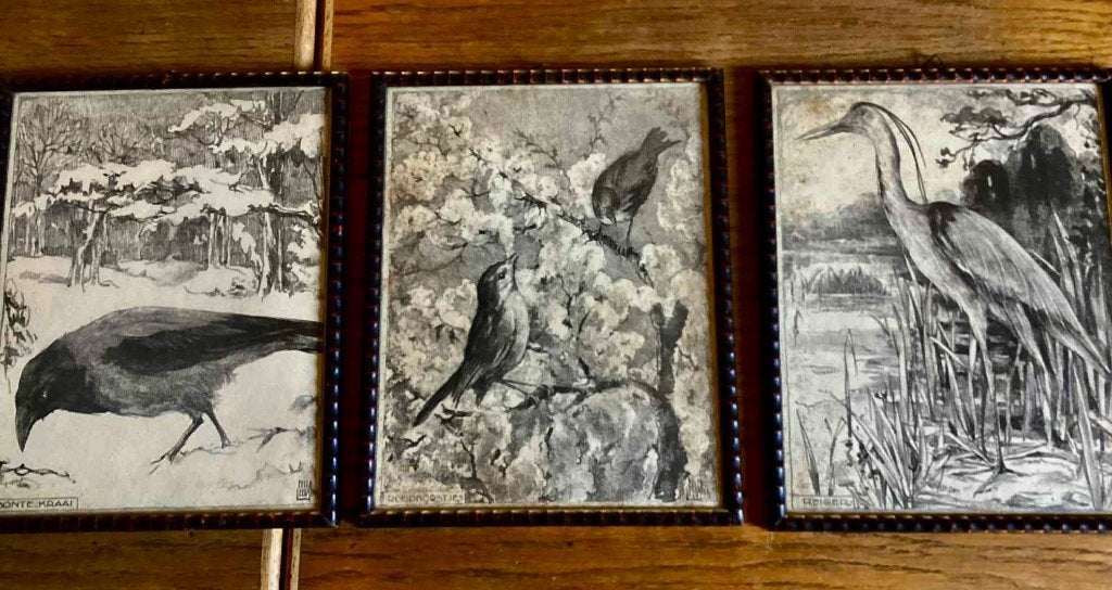 Eelco Leegstra: drie ingelijste tekeningen van vogels, 1950, Ophalen