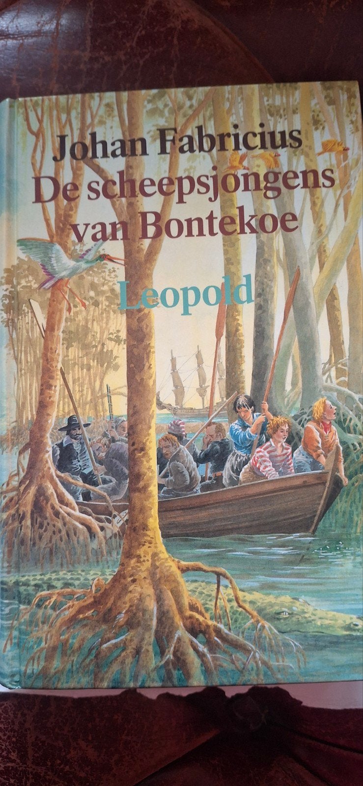 De scheepsjongens van Bontekoe - Johan Fabricius, Boeken, Ophalen of Verzenden, Zo goed als nieuw, Johan Fabricius, Fictie algemeen