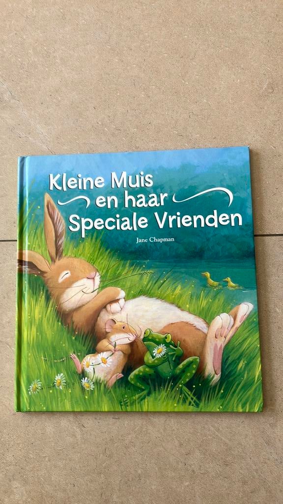 J. Chapman - Kleine Muis en haar speciale vrienden, Ophalen of Verzenden, Zo goed als nieuw, J. Chapman