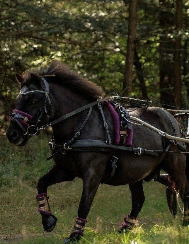 Ideal Equestrian EuroTech Combi Enkelspan tuig zwart shet, Dieren en Toebehoren, Paarden en Pony's | Hoofdstellen en Tuigage, Ideal Equestrian