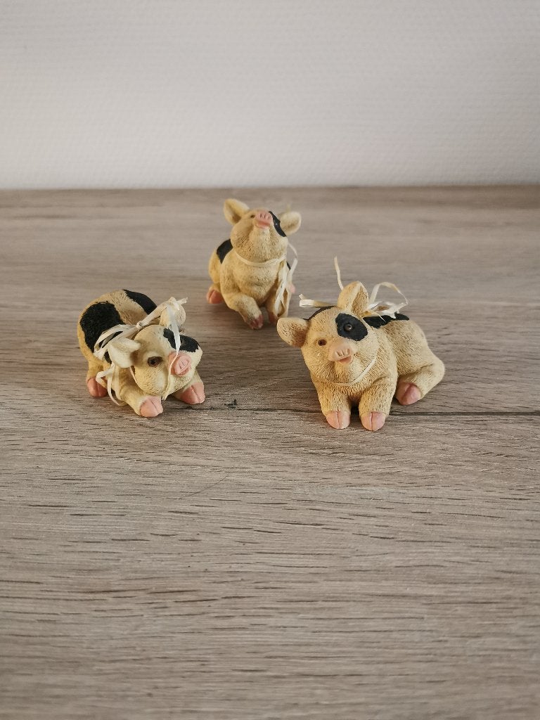 Varkens met koeienvlek, Ophalen of Verzenden, Zo goed als nieuw, Dier