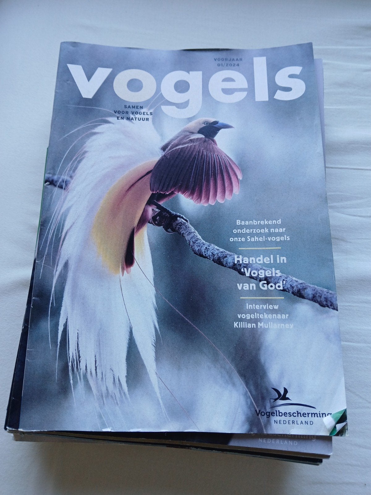 Grote partij vogelbladen [PICK&MIX], Ophalen, Gelezen, Wetenschap en Natuur