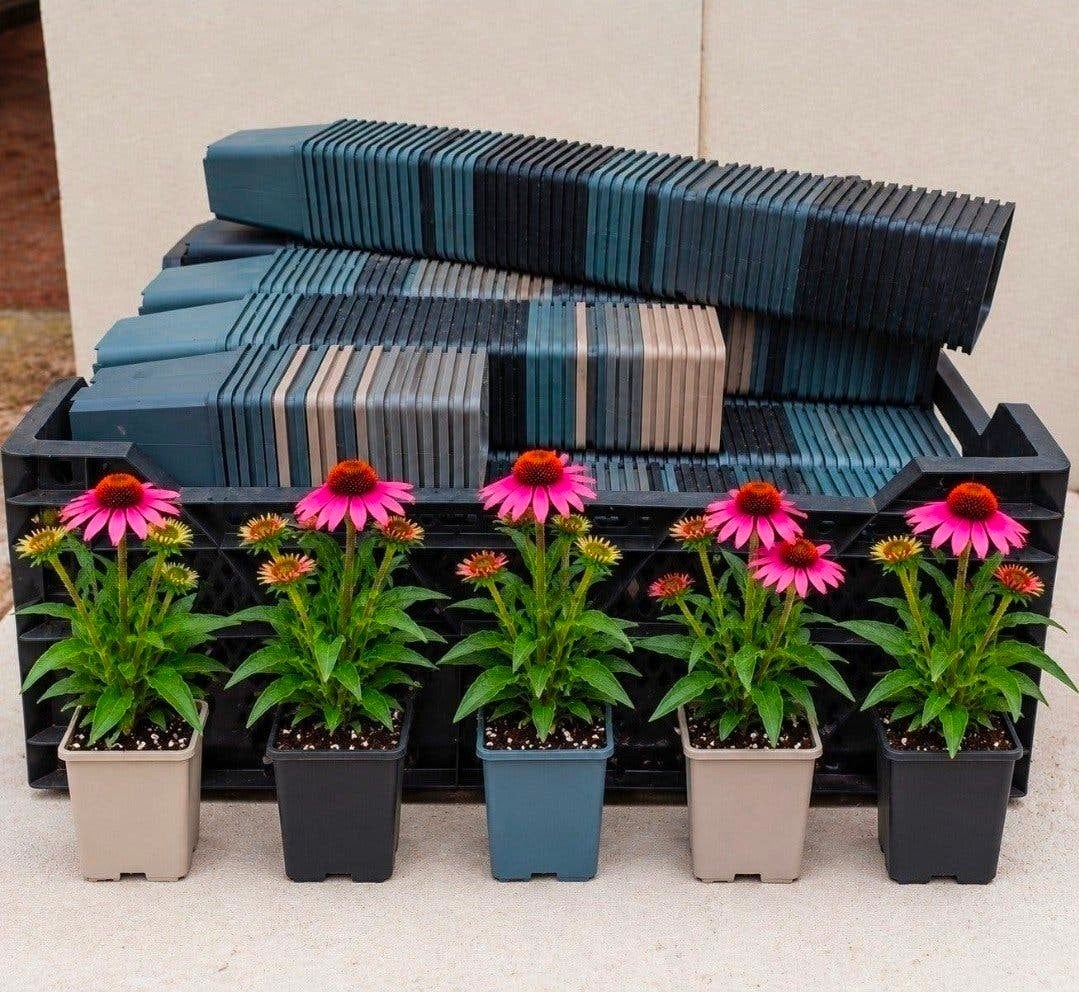 Kweekpotten plantenpotten bloempotten p9 9x9x10 cm, Kunststof, Minder dan 30 cm, Rond, Ophalen of Verzenden