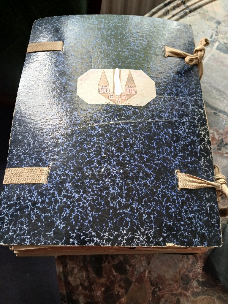 HERBARIUM 1932- 1933 MIJNSTREEK ZUID-LIMBURG, Boeken, Ophalen, Gelezen