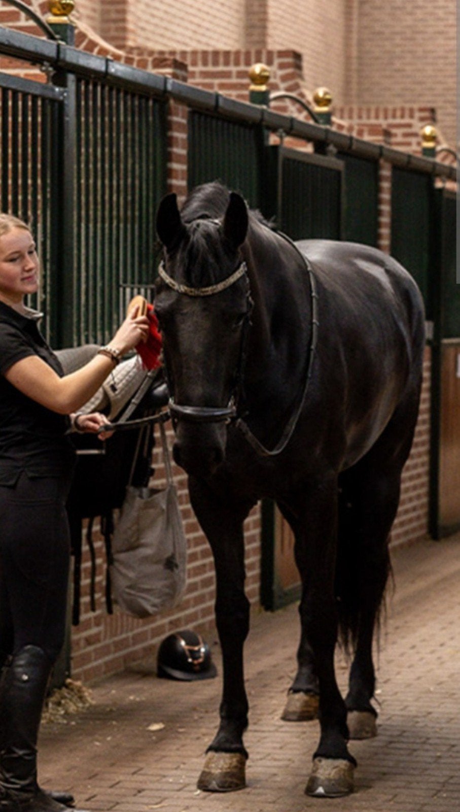 Stalhulp gezocht met spoed €25.- p uur Wassenaar