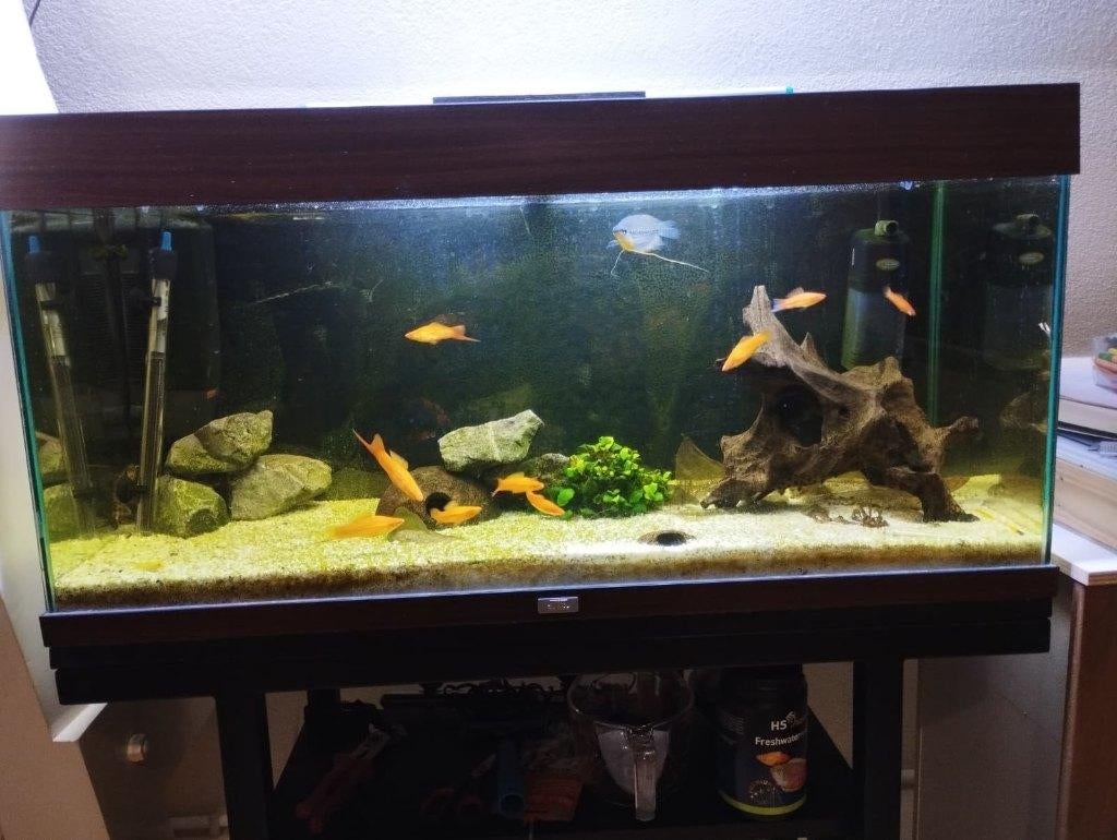 aquarium + toebehoren, Ophalen, Zo goed als nieuw, Leeg aquarium