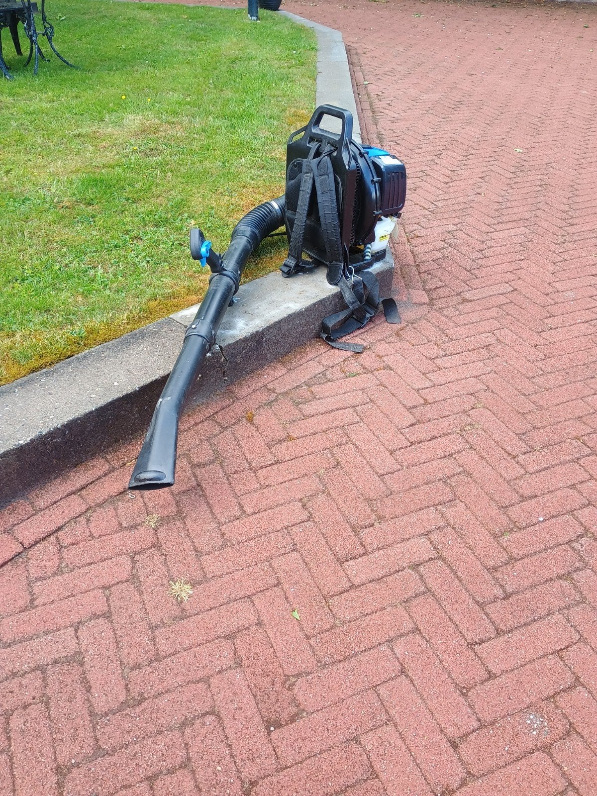 Bladblazer, Tuin en Terras, Bladblazers, Ophalen of Verzenden, Benzine
