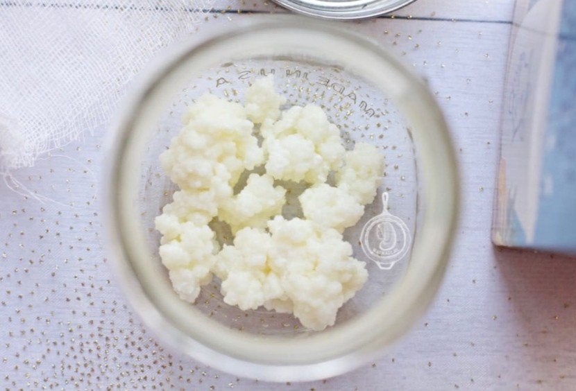 biologische melkkefir korrels, Diversen, Levensmiddelen, Ophalen