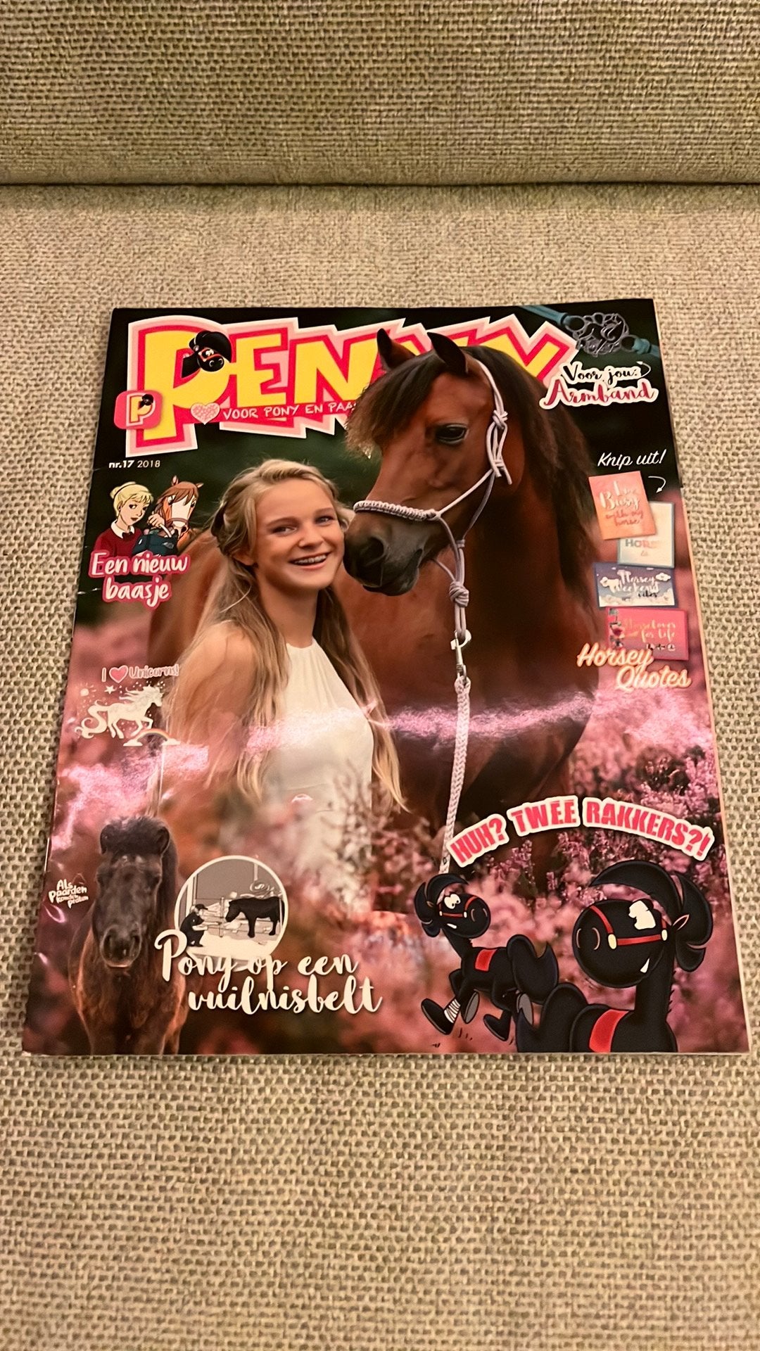 Penny tijdschrift, Gelezen, Europa, Ophalen of Verzenden, Meerdere comics