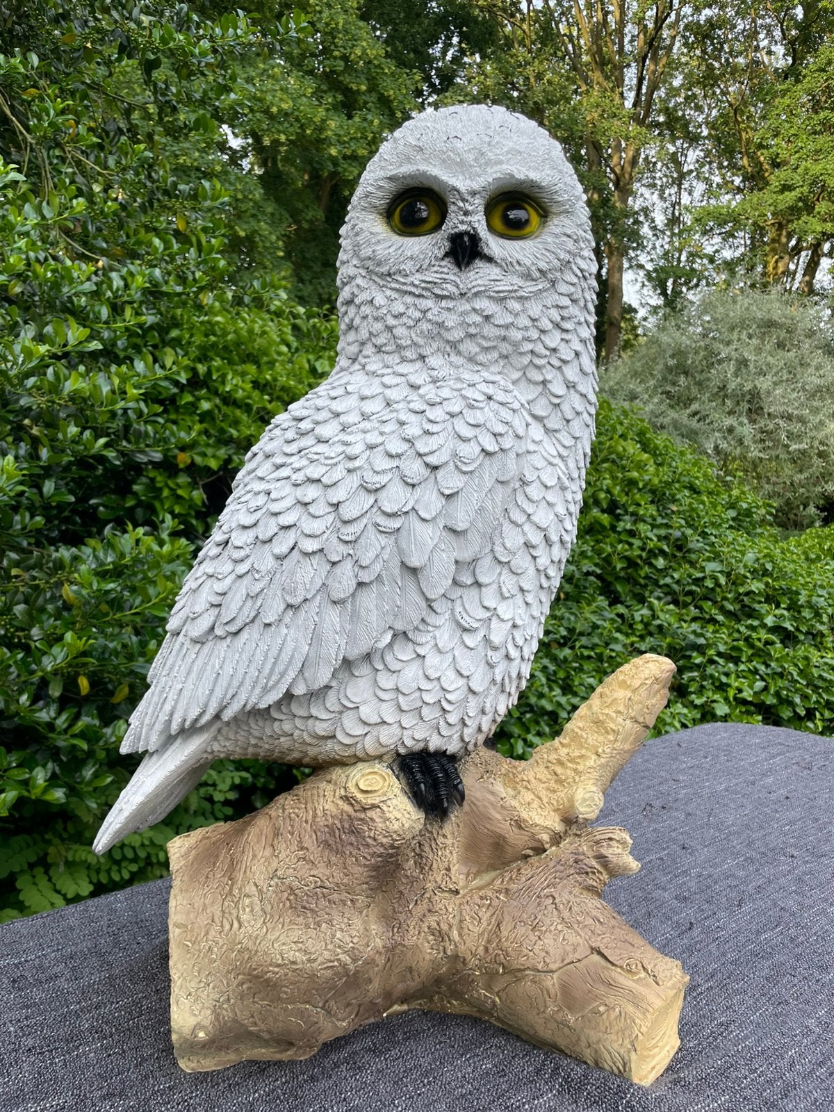 Uil wit  beeld tuin bos vijver dier boerderij, Ophalen, Nieuw, Kunststof, Dierenbeeld