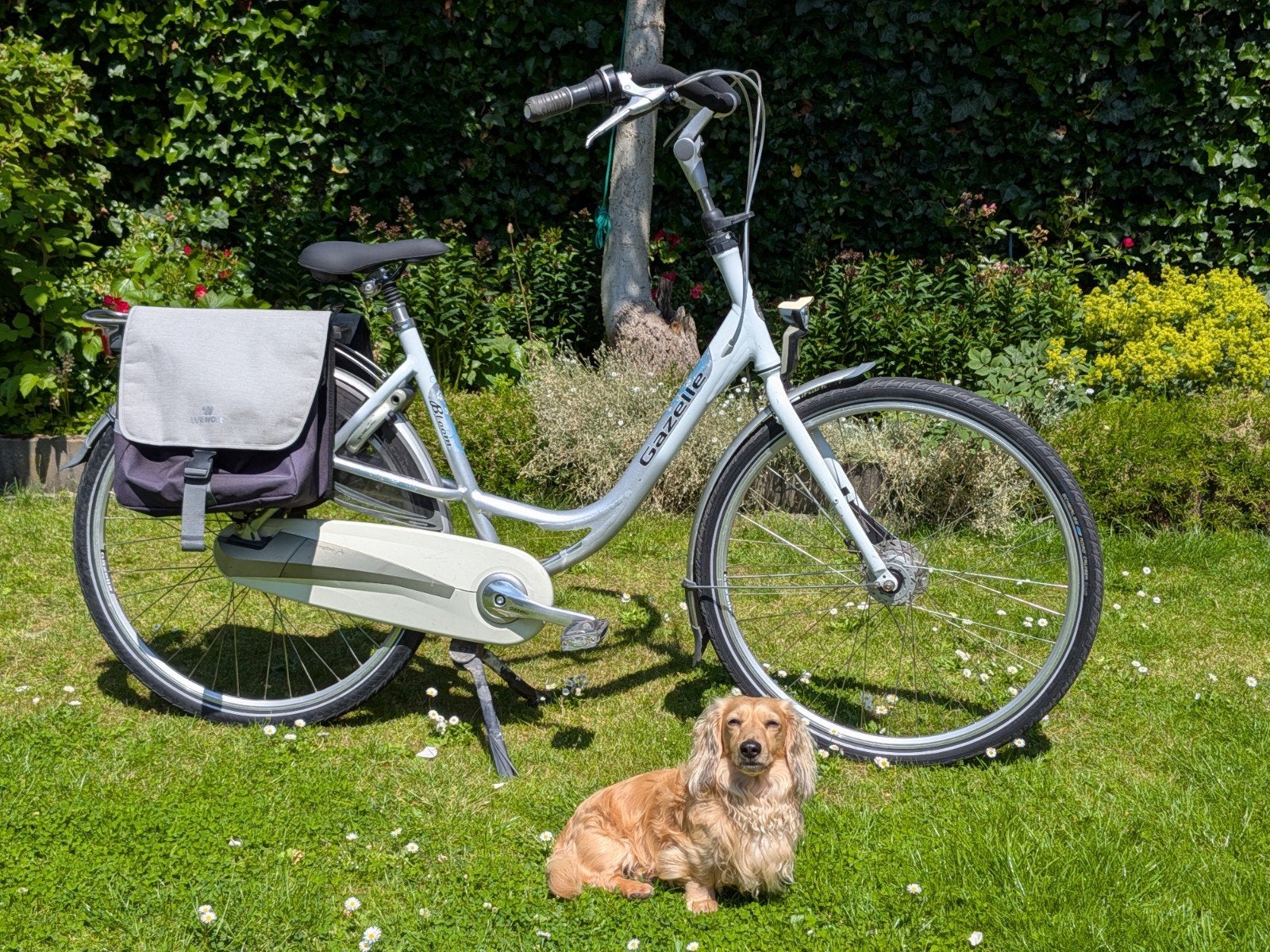 Gazelle Moederfiets 7 Versnellingen, Frame 53, Goede Staat, Fietsen en Brommers, Fietsen | Dames | Moederfietsen, Ophalen, Versnellingen
