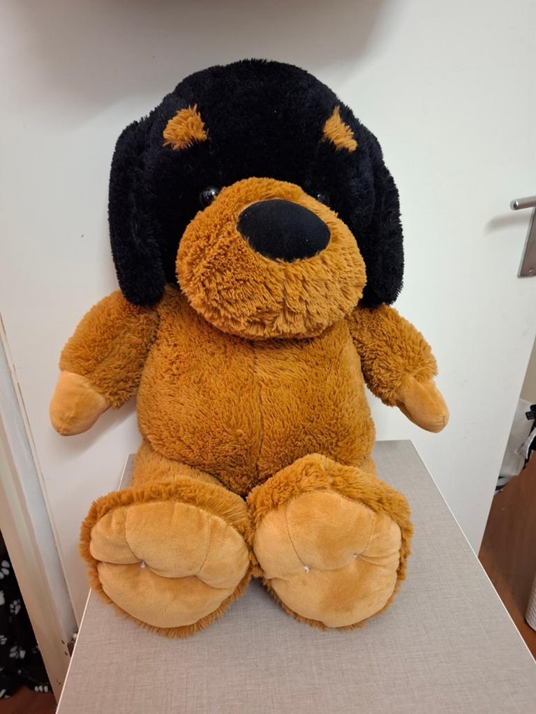 Grote knuffel hond, Ophalen, Zo goed als nieuw, Hond