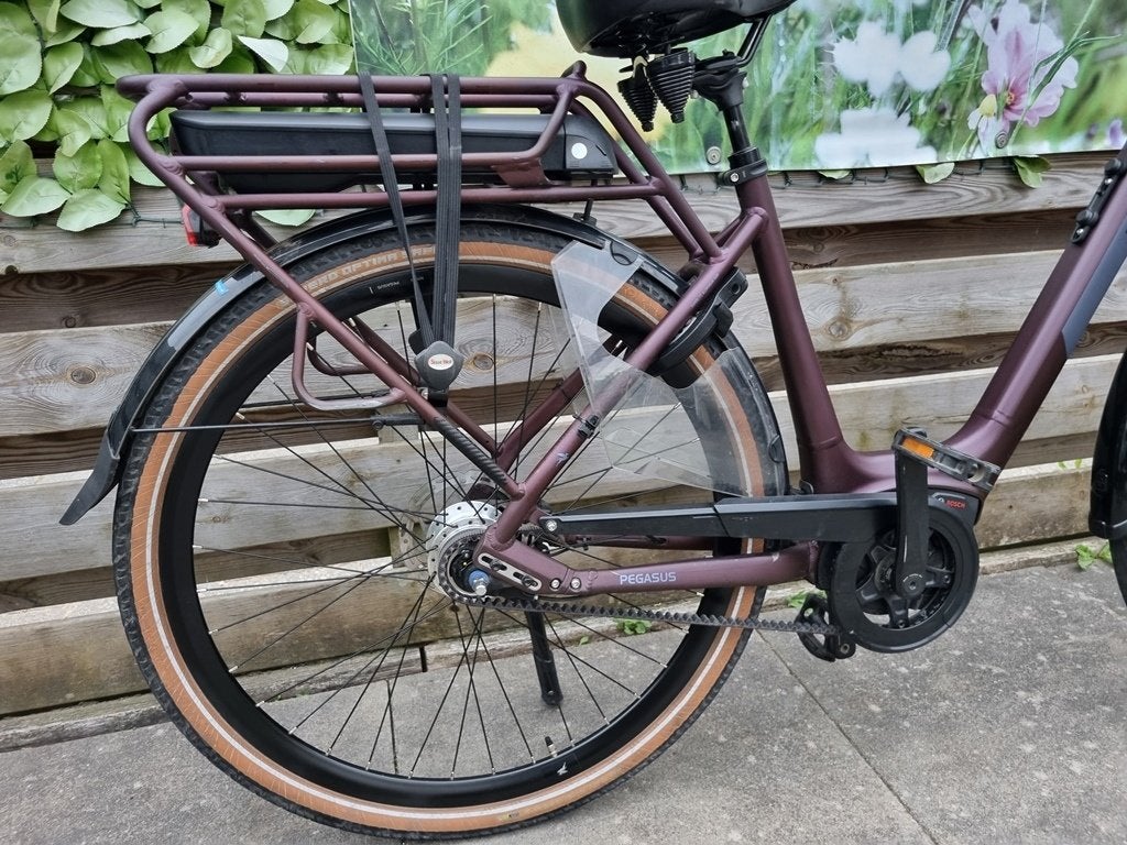 ebike pegasus siena E7f n7 59 cm,belt,  bosch plus 500wh, 56 cm of meer, Zo goed als nieuw, Meer dan 20 versnellingen, Ophalen