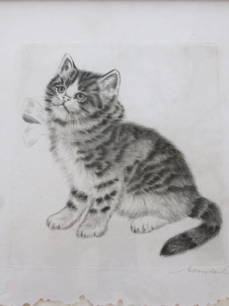 Originele ets van kat / poes met strik / Ebersbach 1822-1900, Antiek en Kunst, Ophalen of Verzenden