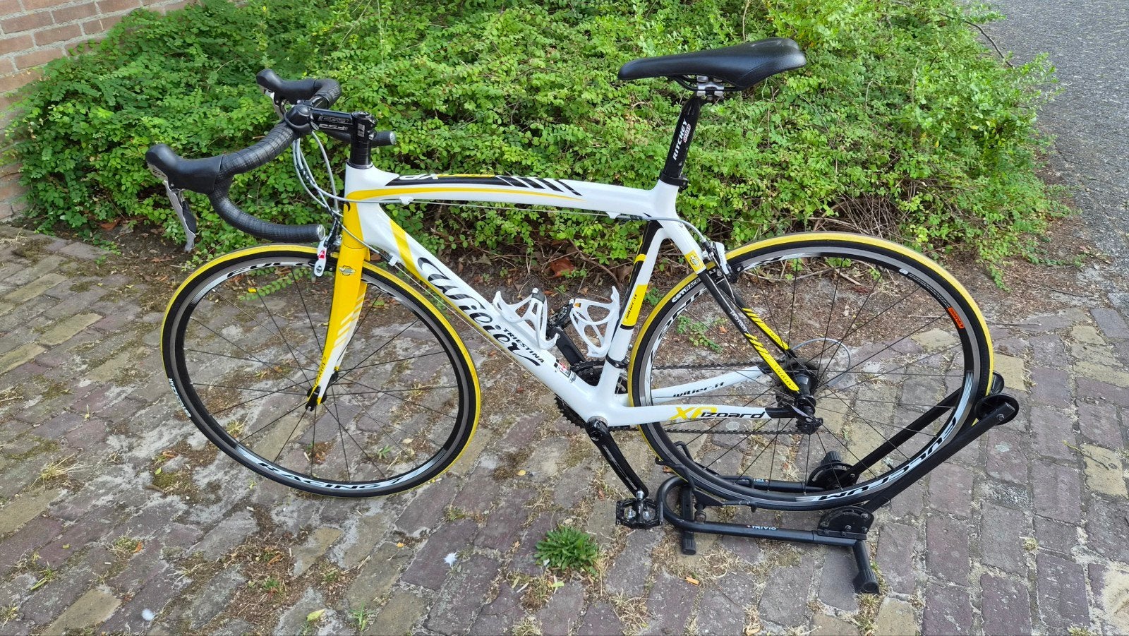 Wilier Carbon racefiets - Ideaal voor beginners, Ophalen, Carbon, Meer dan 20 versnellingen, Overige merken
