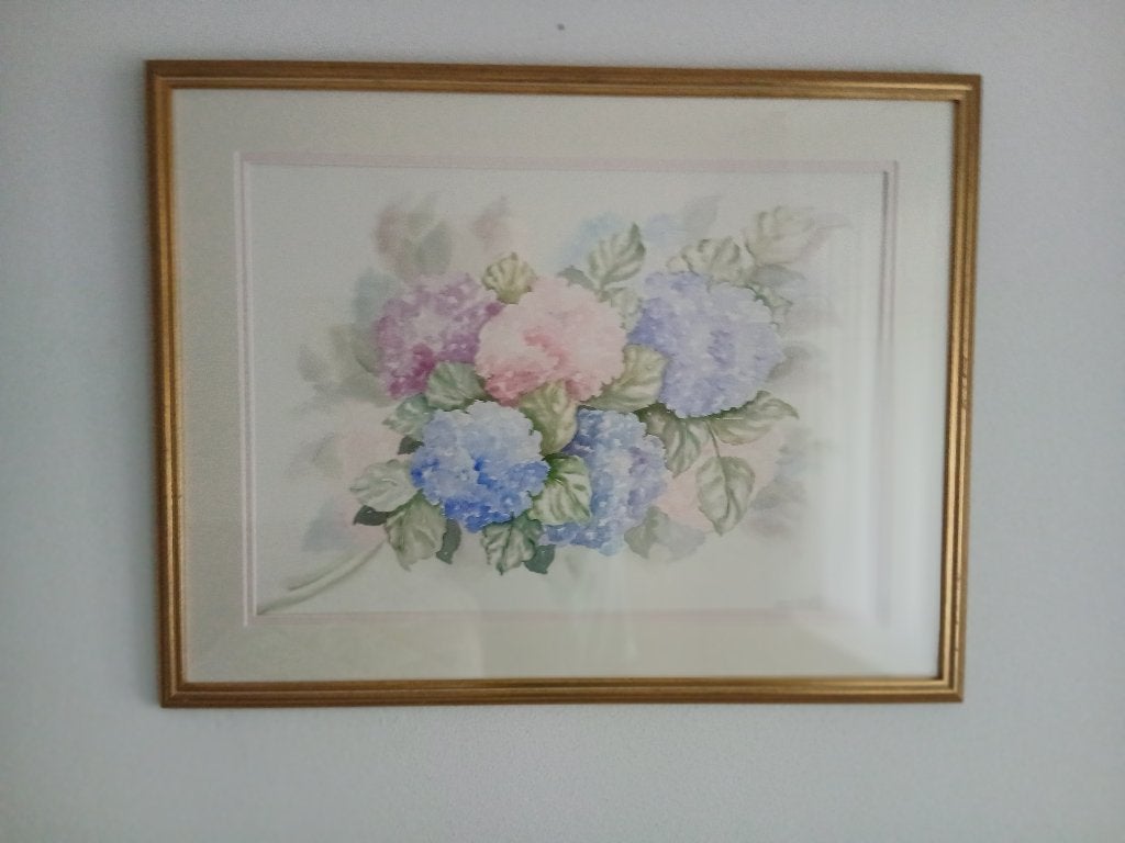 mooi groot aquarel, Ophalen