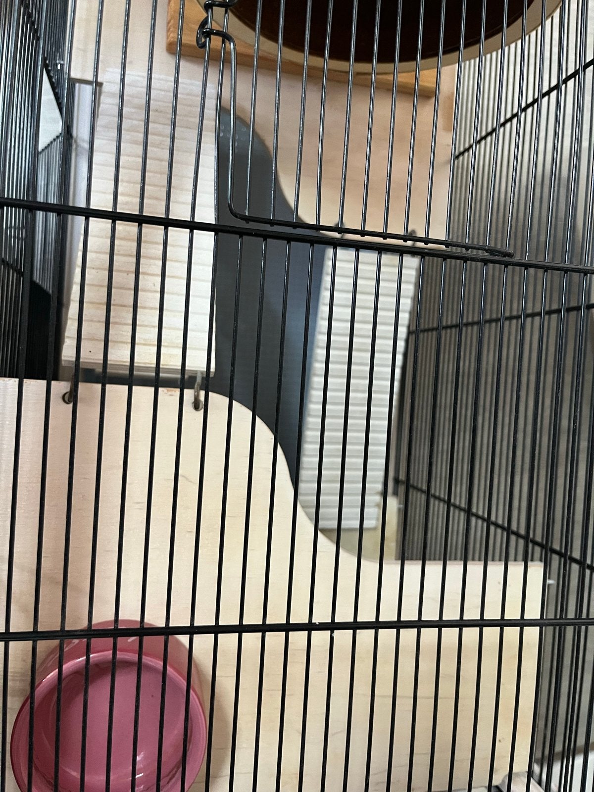 Hamster kooi, Ophalen, Zo goed als nieuw, Loopwiel of Rad