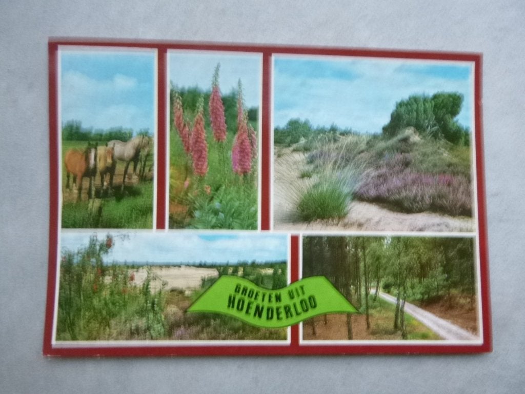 groeten uit Hoenderloo, paarden/bos 1985, Verzenden, 1980 tot heden, Gelopen, Drenthe
