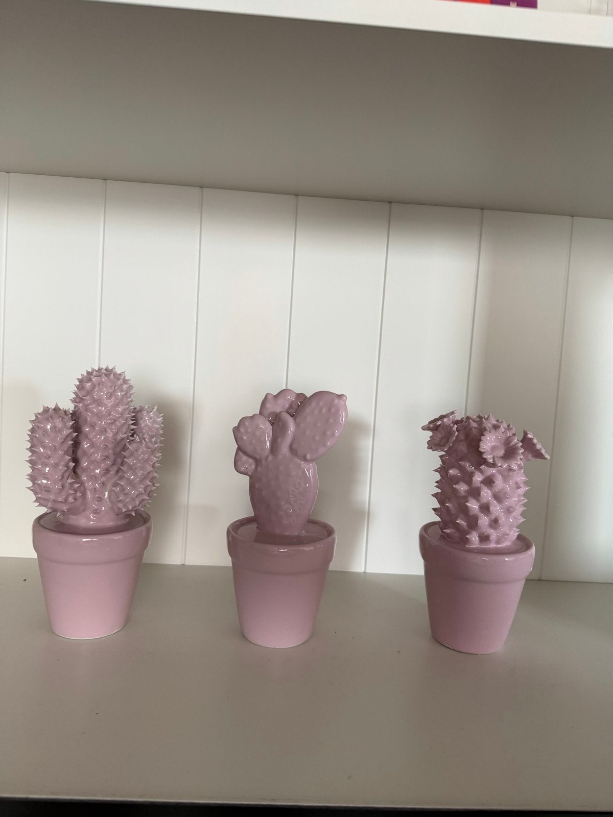 Decoratieve cactussen, roze, circa 15cm hoog, Roze, Ophalen of Verzenden, Zo goed als nieuw, Modern