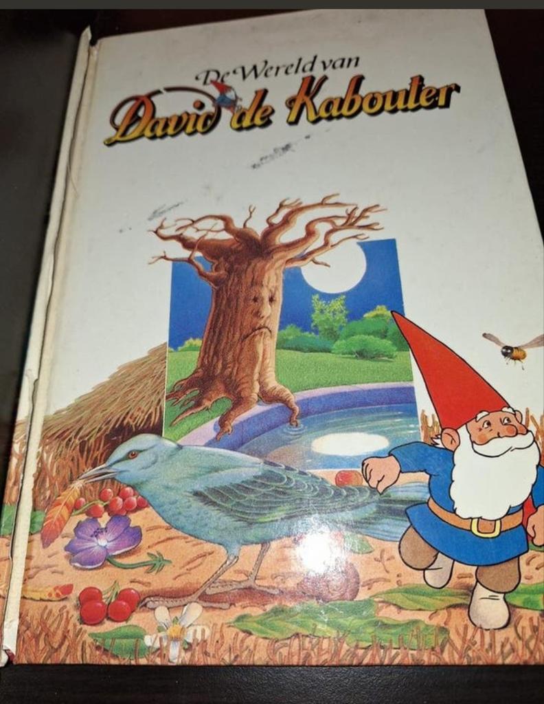 De Wereld van David de Kabouter - Klassiek Sprookjesboek, Ophalen of Verzenden, Gelezen, Rein Poortvliet, Sprookjes