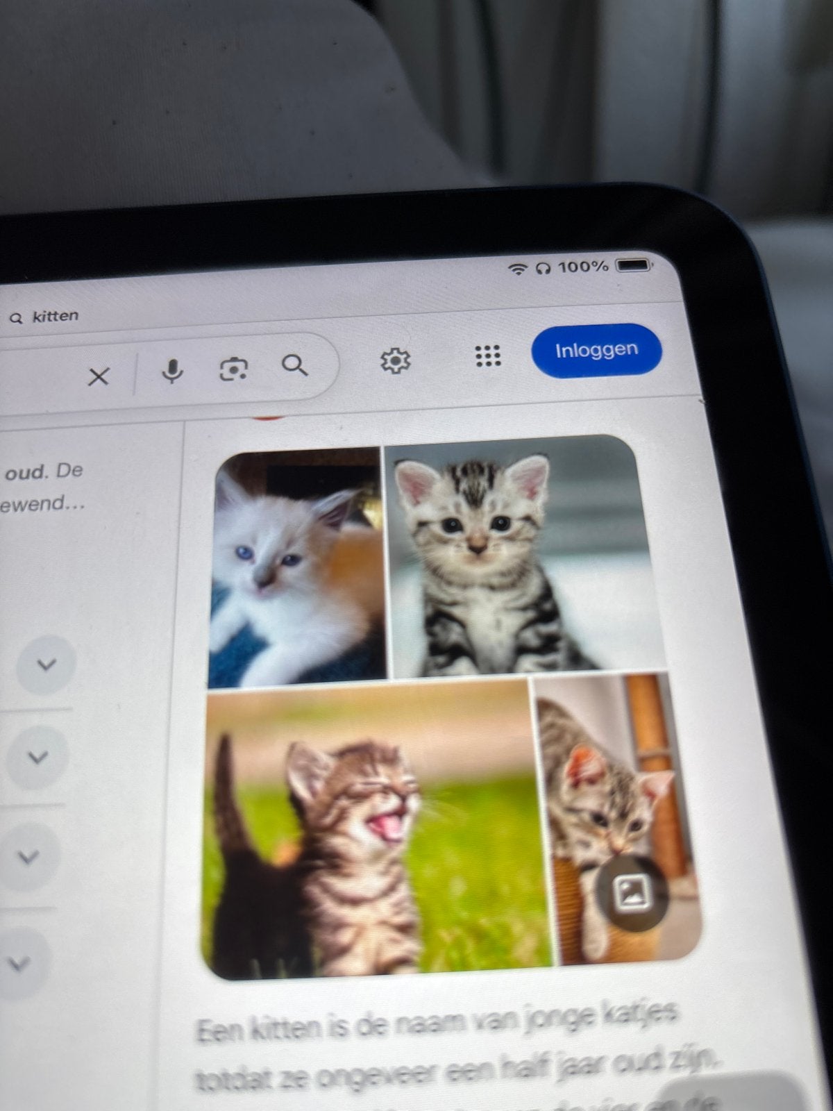 Gezocht gratis kitten, Dieren en Toebehoren