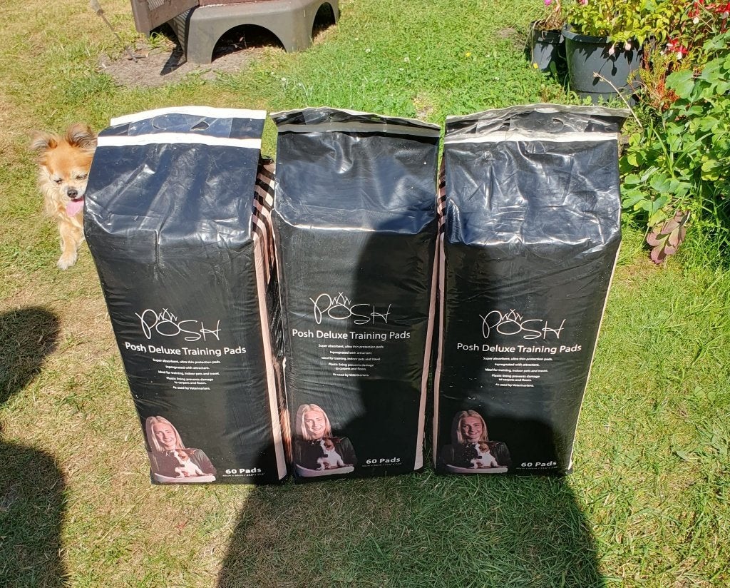 60 st Trainingspads, Roze puppypads, Plasmatjes, Posh Deluxe, Dieren en Toebehoren, Overige merken, Ophalen of Verzenden, Nieuw