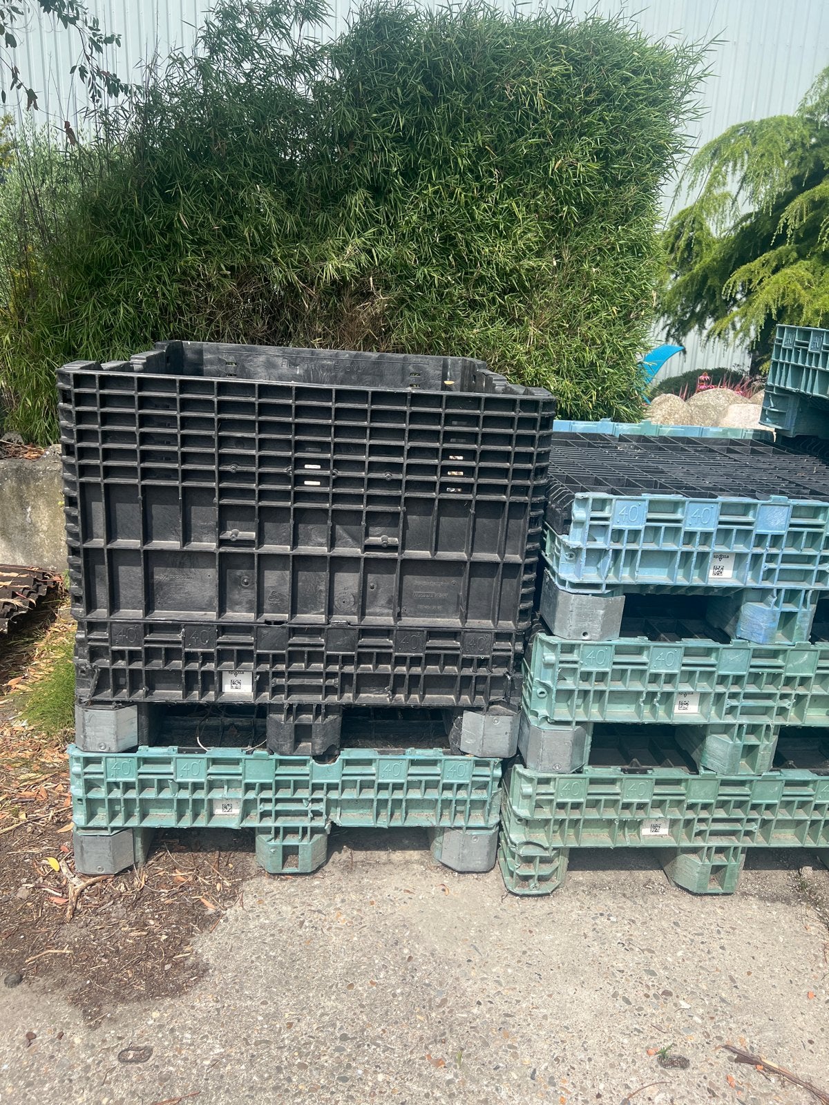 Stevige kunststof bakken met pallets - Gebruikt, Ophalen, Gebruikt, 100 cm of meer, 60 cm of meer