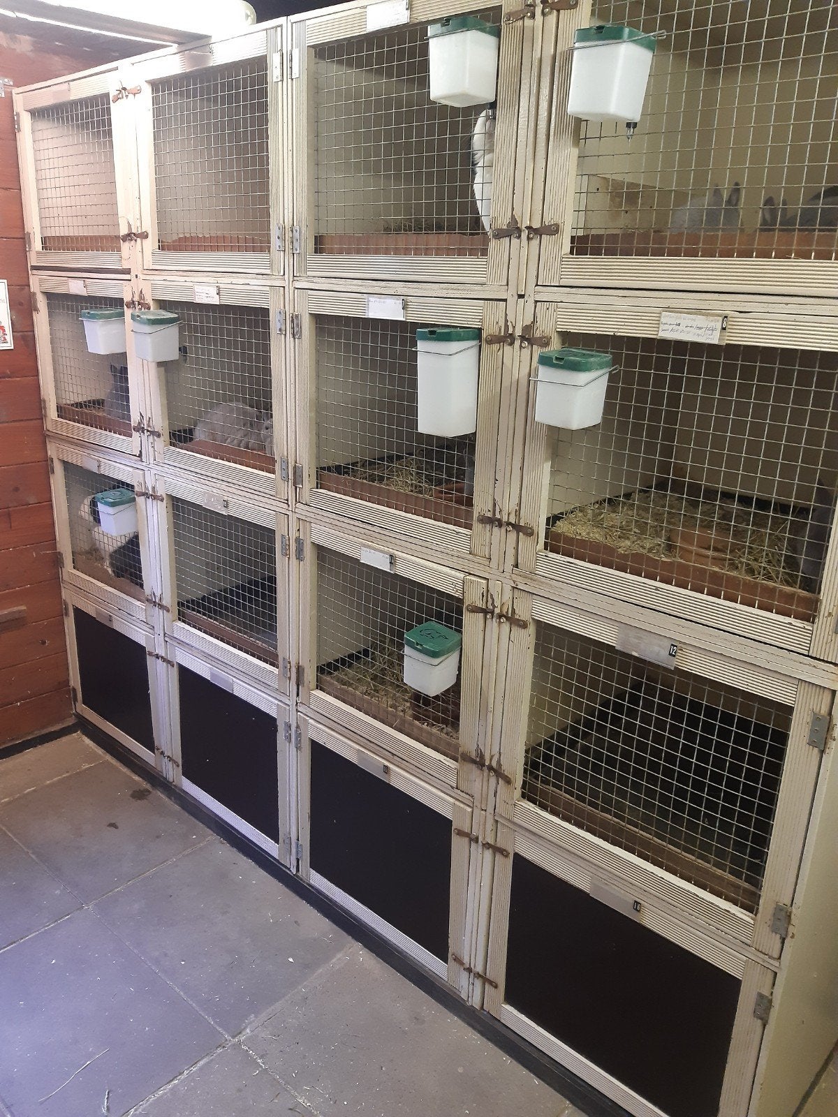Konijnen flat / Cavia’s, Ophalen, Overige typen, 90 cm of meer, Konijn