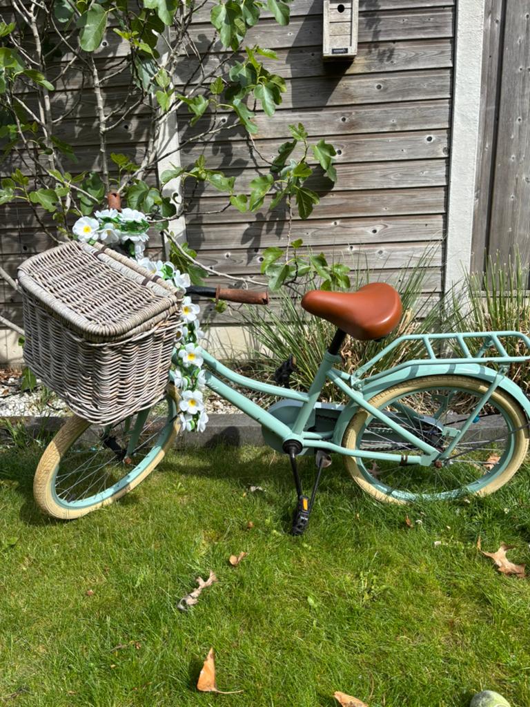 Kinderfiets Diva Spirit 20inch, Fietsen en Brommers, Ophalen of Verzenden, Gebruikt, Velgrem, 16 tot 20 inch