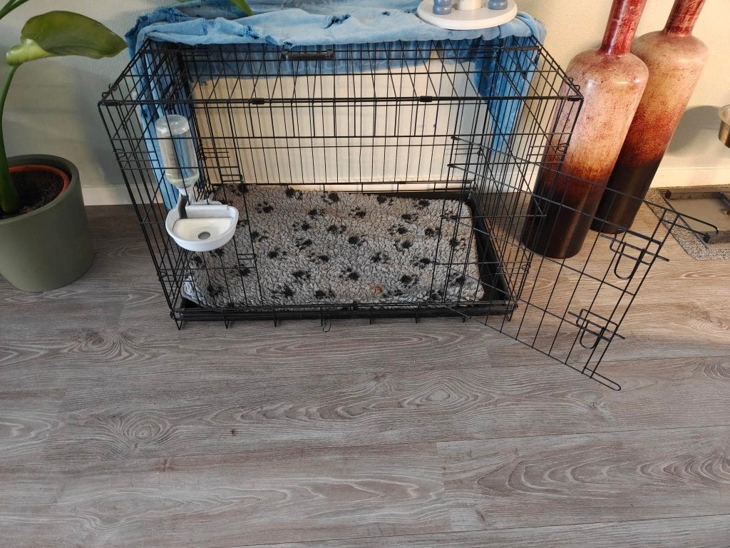 Honden bench, Ophalen, Zo goed als nieuw