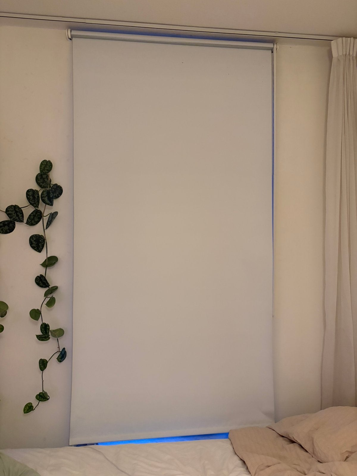 Verduisterend rolgordijn ikea, Ophalen, Zo goed als nieuw, Wit, 50 tot 100 cm