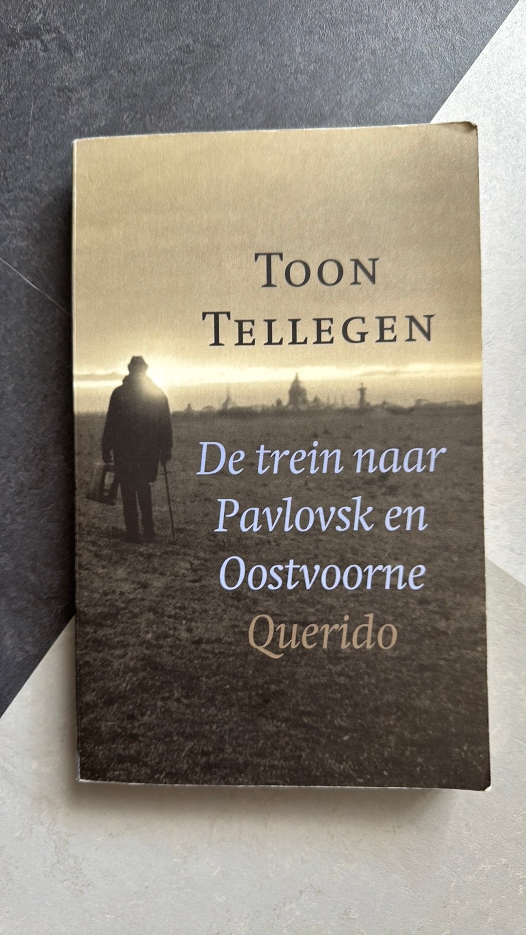Toon Tellegen - De trein naar Pavlovsk en Oostvoorne, Ophalen of Verzenden, Zo goed als nieuw, Toon Tellegen