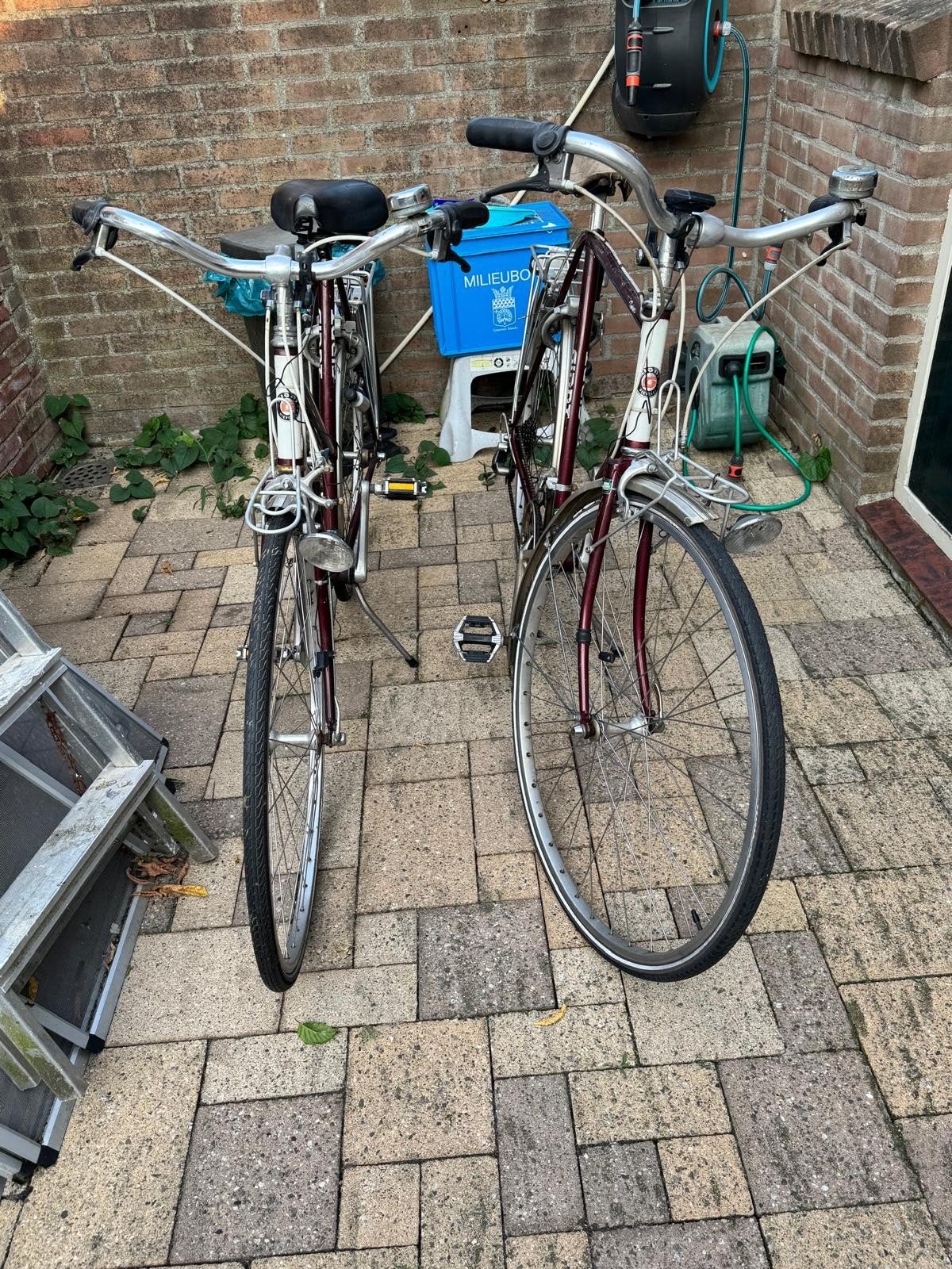 2 vintage fietsen heren dames Gaint
bieden, 56 cm of meer, Ophalen, Gebruikt, Versnellingen