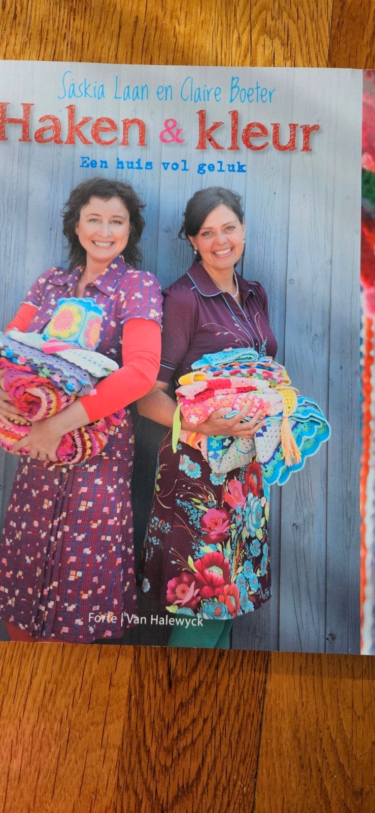 Saskia Laan - Haken en kleur, Boeken, Breien en Haken, Saskia Laan; Claire Boeter, Ophalen of Verzenden, Zo goed als nieuw