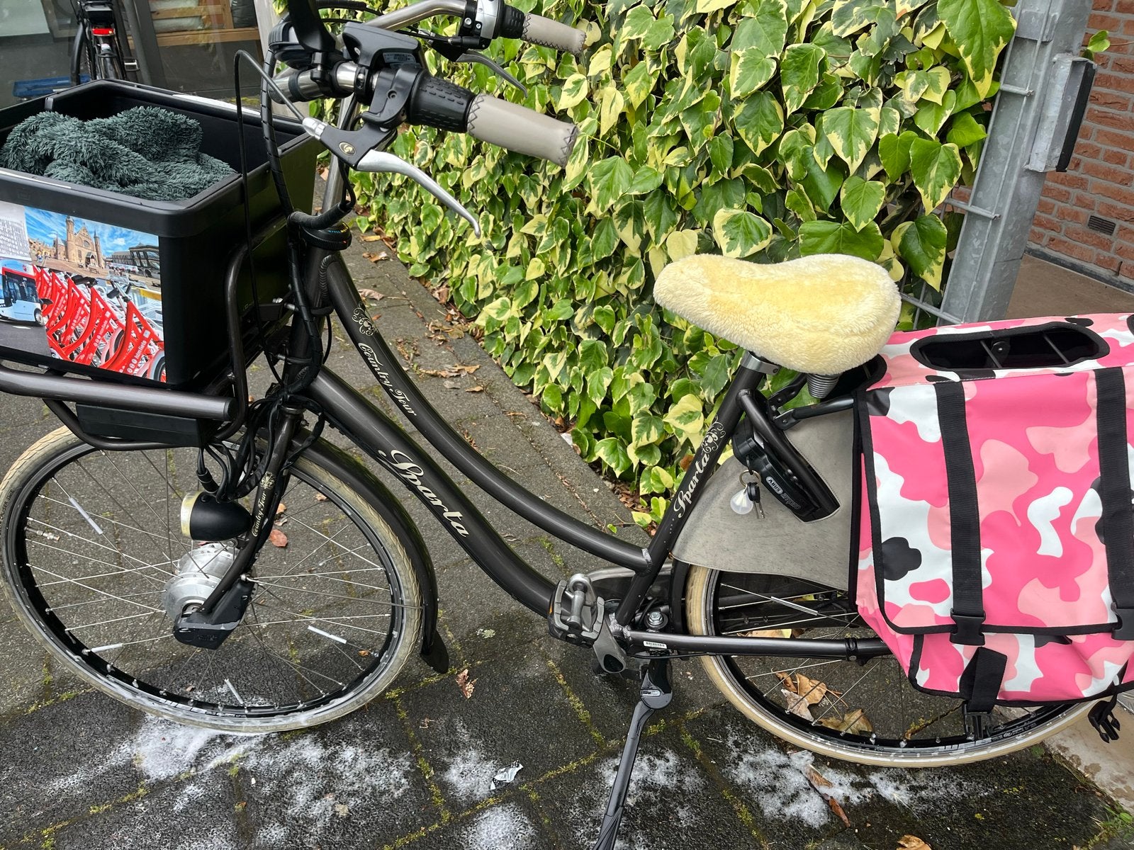 Sparta Country Tour Damesfiets met voordrager, Ophalen, Terugtraprem, Sparta, Versnellingen