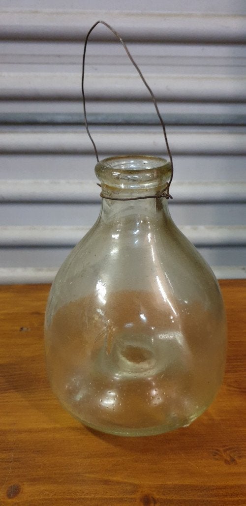 insecten val glas hanger, Ophalen of Verzenden, 'T Olde Gre-j, Info@toldegrej.nl, Endepoelstraat 20f Didam