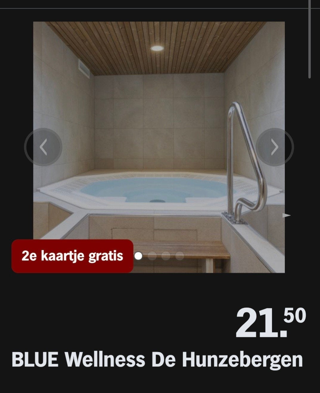 BLUE WELLNESS DE HUNZEBERGEN ♡ 2e kaartje gratis (AH ACTIE), Overige soorten