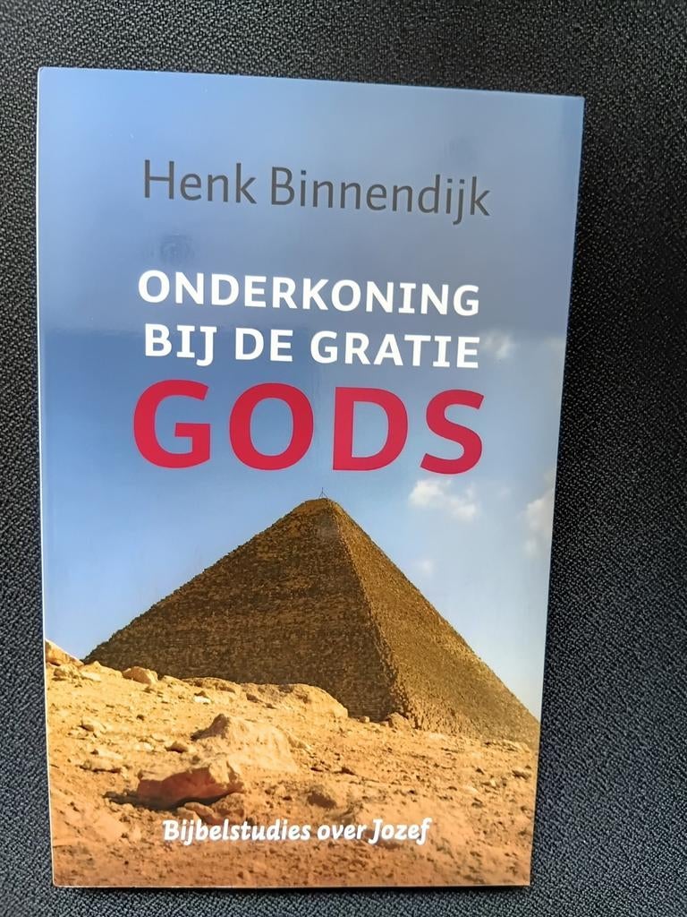 Henk Binnendijk - Onderkoning bij de gratie Gods, Ophalen of Verzenden, Zo goed als nieuw, Henk Binnendijk