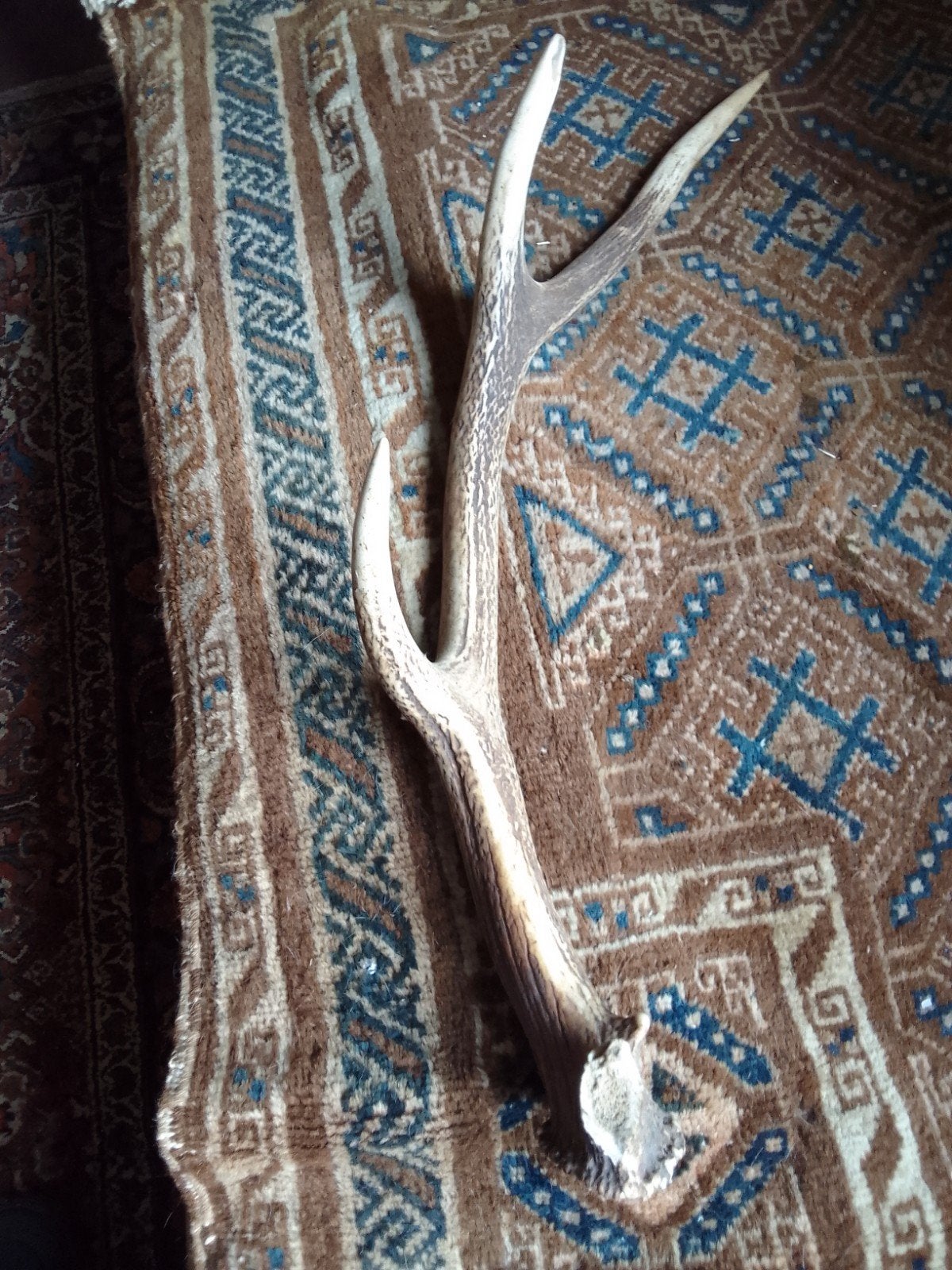 Decoratief gewei stuk - Natuurlijke Woondecoratie, Ophalen of Verzenden