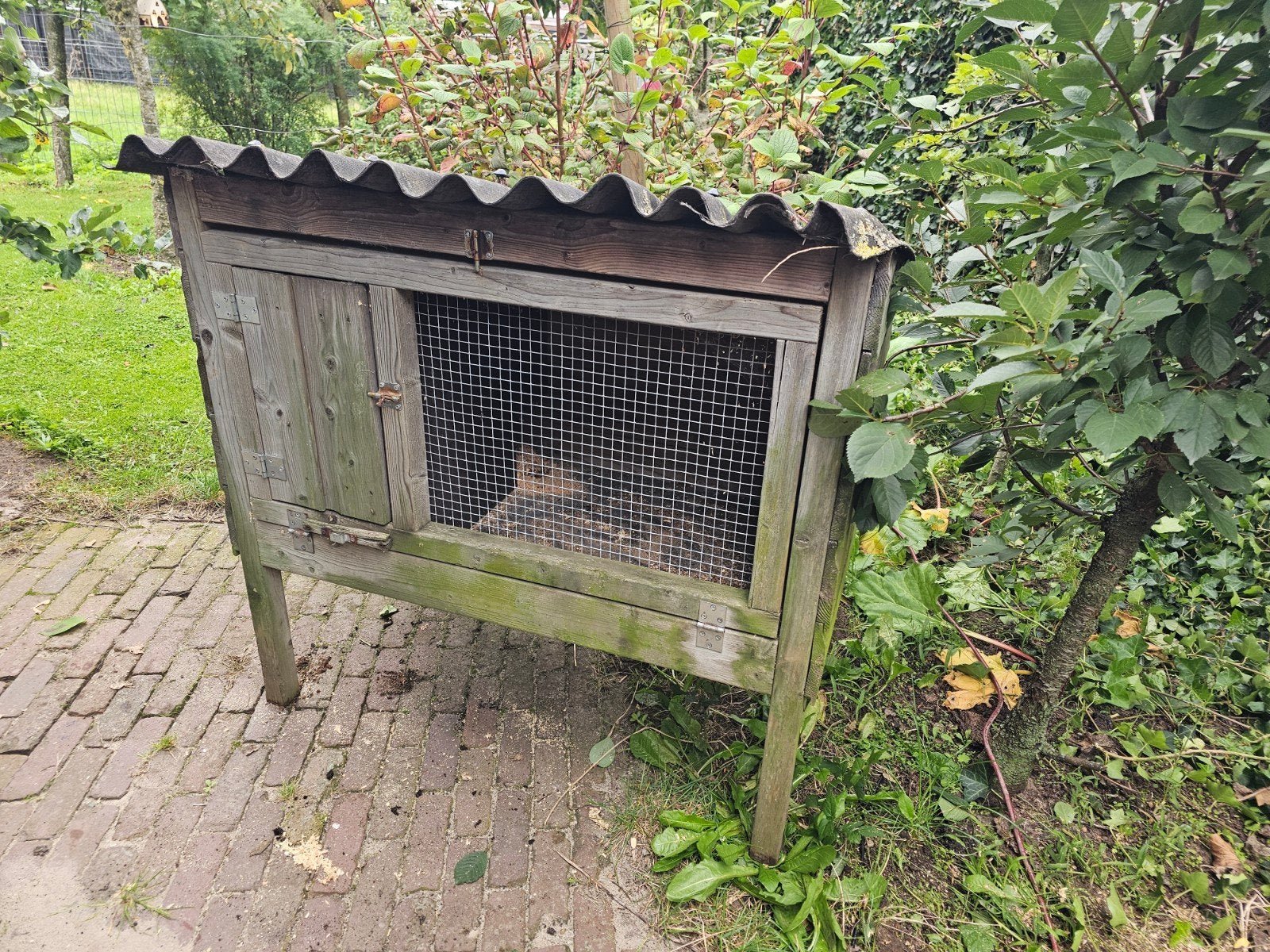 konij enhok gratis op te halen, Ophalen, Overige typen