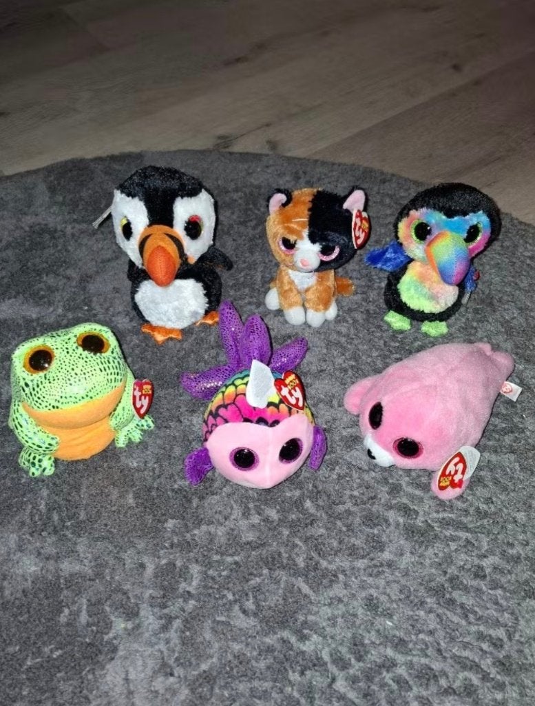 6 Ty Knuffels +/- 15cm, Overige typen, Ophalen of Verzenden, Klein (minder dan 20 cm), Ty