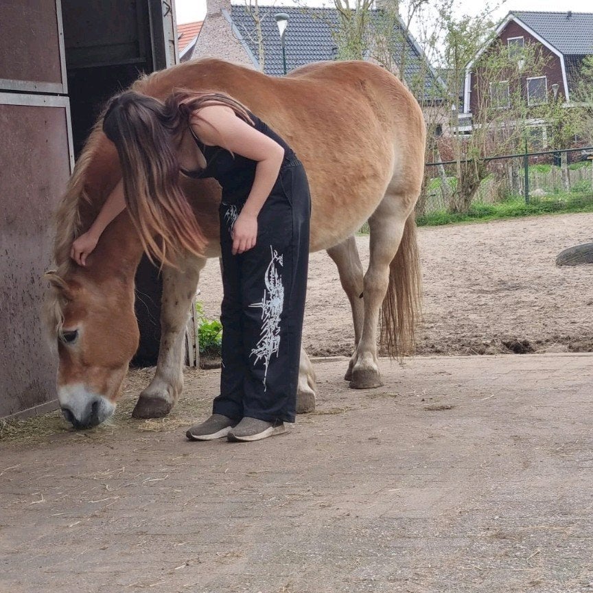 Bijrijder/Verzorg aan geboden, Dieren en Toebehoren, Paarden en Pony's | Verzorgingsproducten, Ophalen of Verzenden