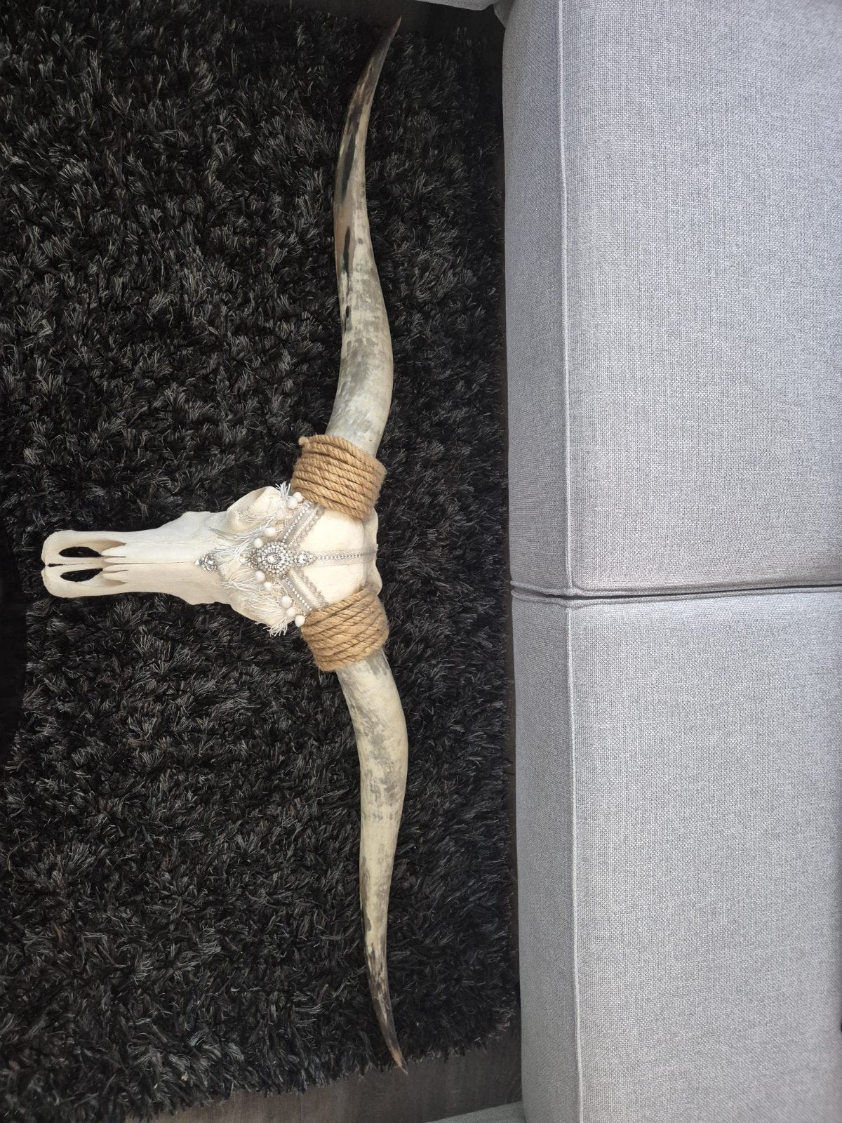 Decoratie schedel, Verzamelen, Dierenverzamelingen, Ophalen, Schedel