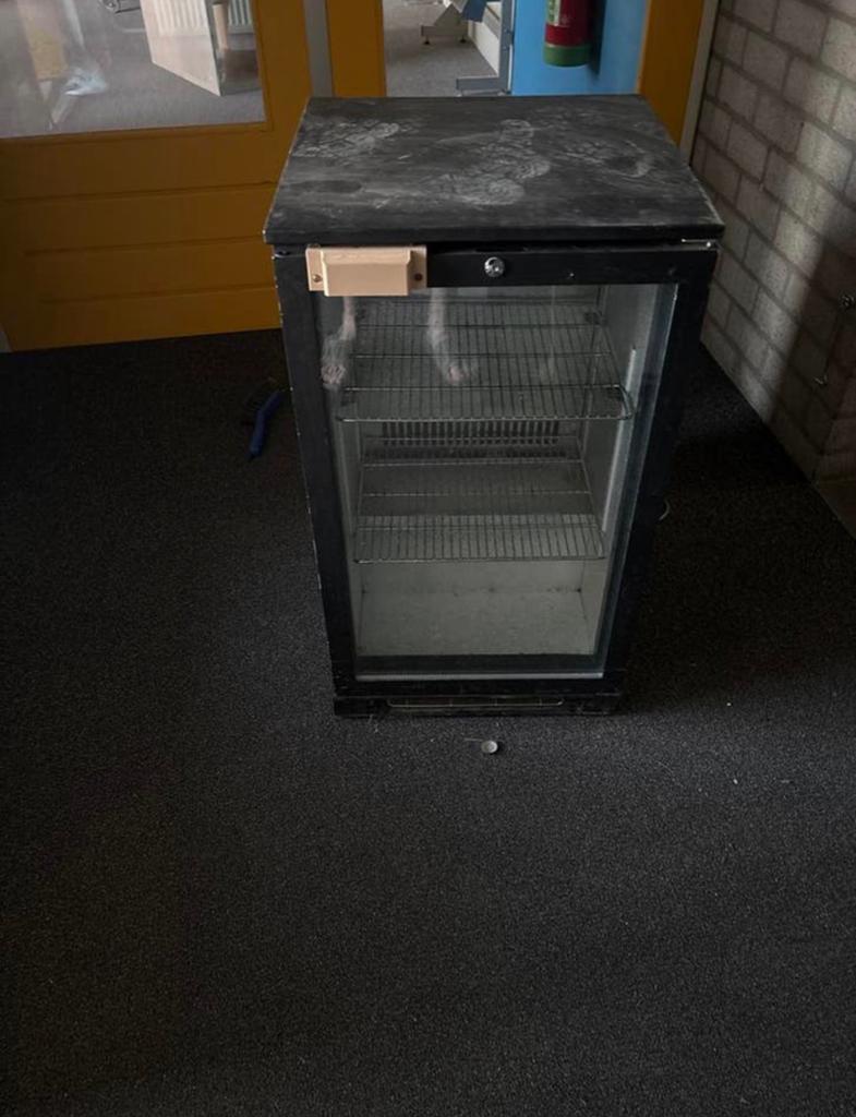 Tefcold Minibar Koelkast met 3D geprint handvat, Minder dan 45 cm, Minder dan 75 liter, Ophalen, 85 tot 120 cm