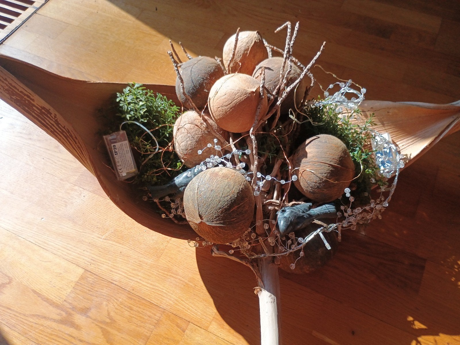 Gratis-Decoratieve schaal met kokosnoten, Ophalen, Gebruikt, Landelijk, Natuurlijk materiaal