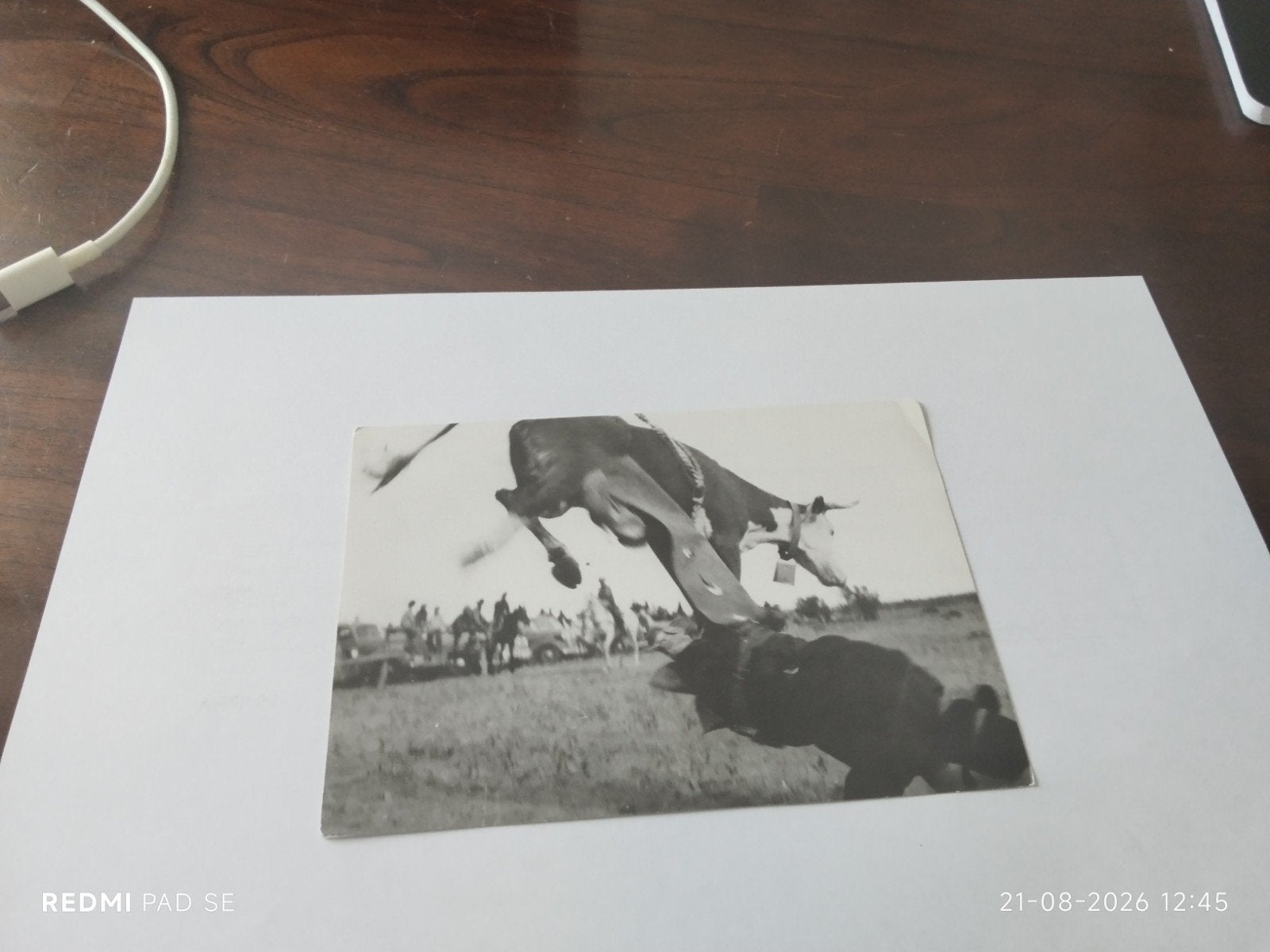 fotoansicht Navajo stieren rodeo, Klagehtoh, Arizona (1948), Verzamelen, Ophalen of Verzenden, 1940 tot 1960