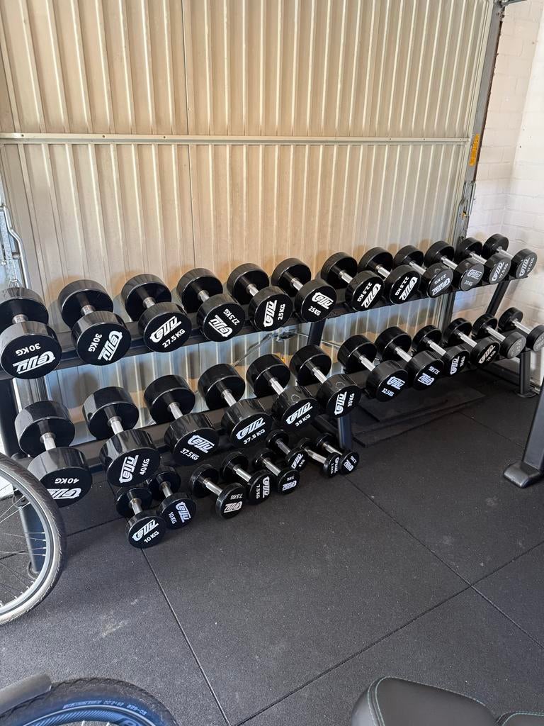 Telju Fitness Apparatuur - volledig assortiment ZGAN!, Sport en Fitness, Fitnessmaterialen, Ophalen, Gebruikt, Armen, Dumbbell