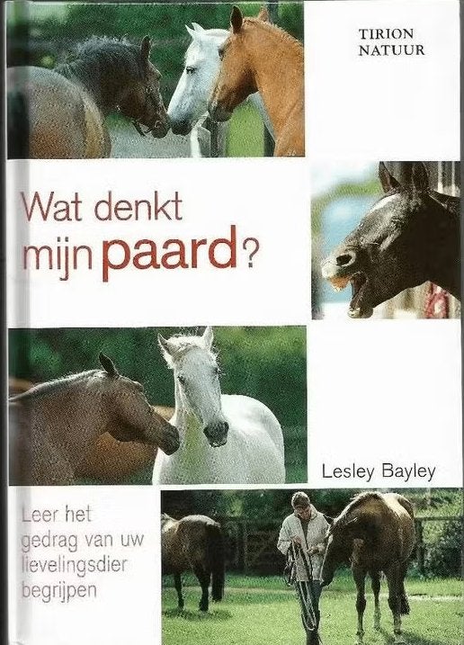 Wat denkt mijn paard - Lesley Bayley, Boeken, Ophalen of Verzenden, Nieuw, Paarden of Pony's